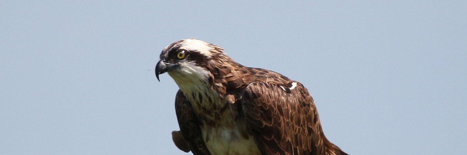 ukeller's profile banner image