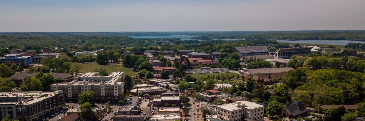 Angeline Scheinbaum, Ph.D. banner