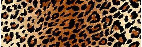 _TinaTurnUp's profile banner image