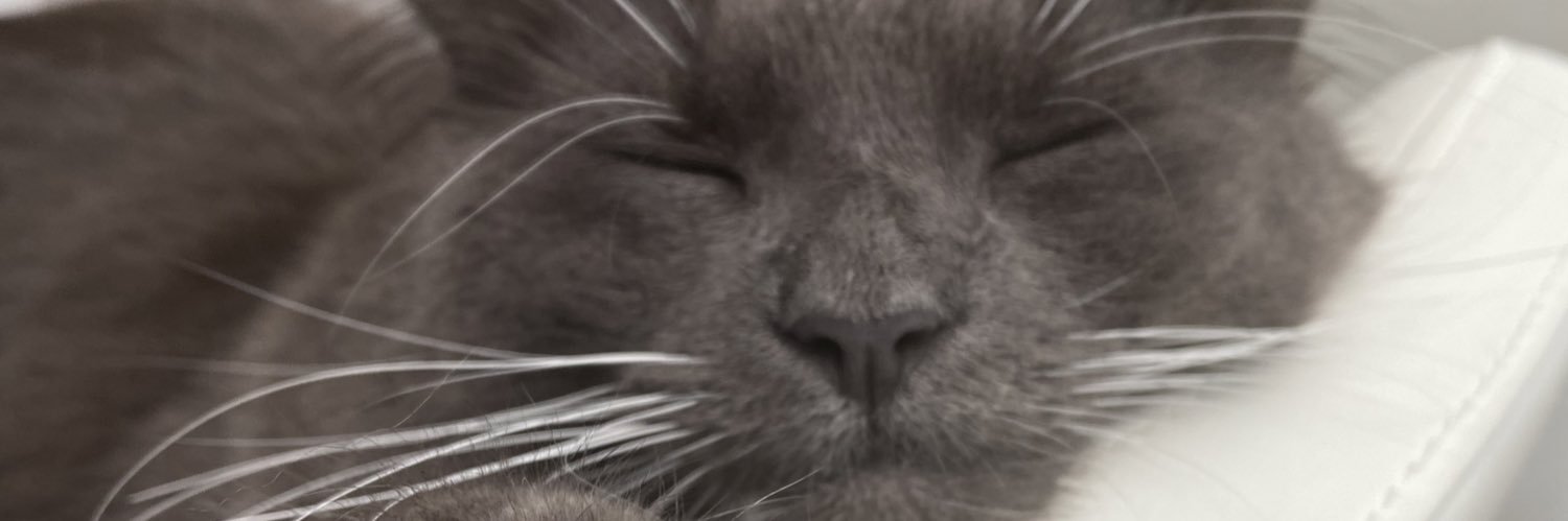 LouiseSimmondsX's profile banner image