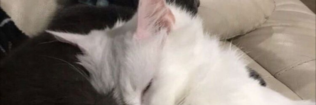 lukah666's profile banner image