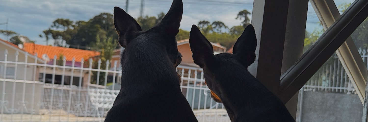 nicsttn's profile banner image