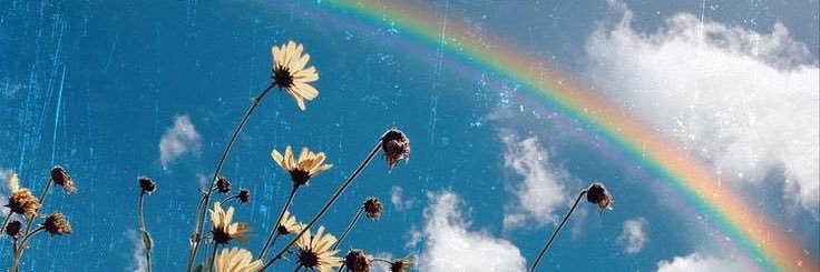 TUGCE_DURMS's profile banner image