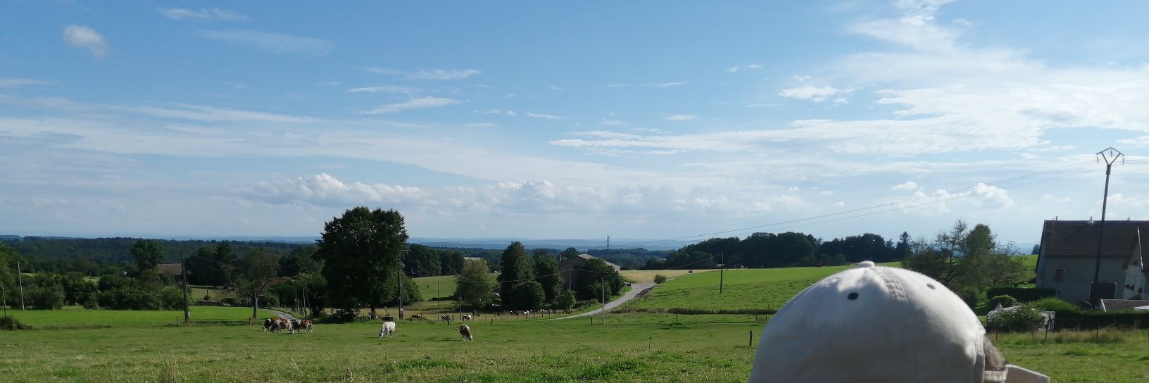 Zestewaff's profile banner image