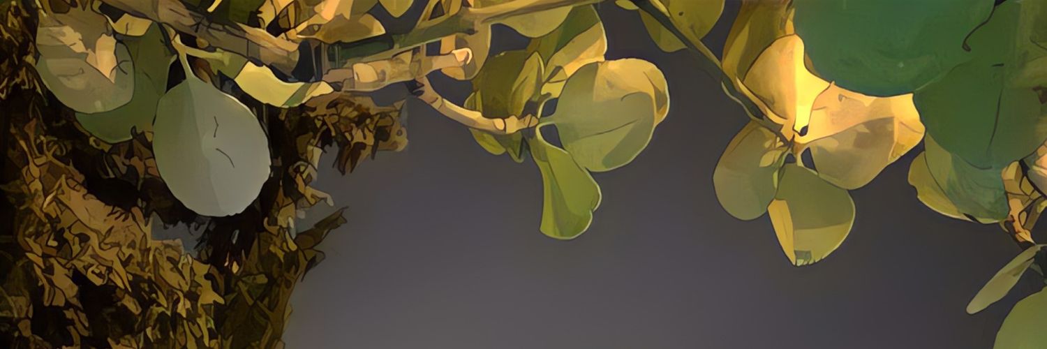 kamala_mammadli's profile banner image