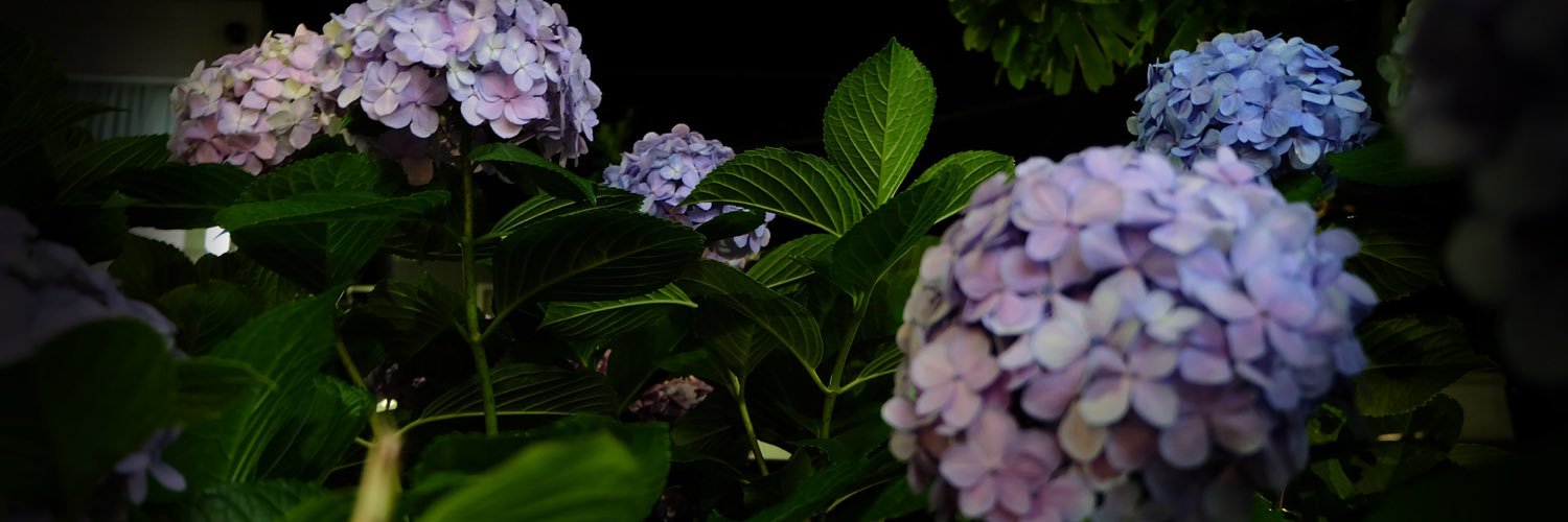 TenR_yu_ffkw_'s profile banner image