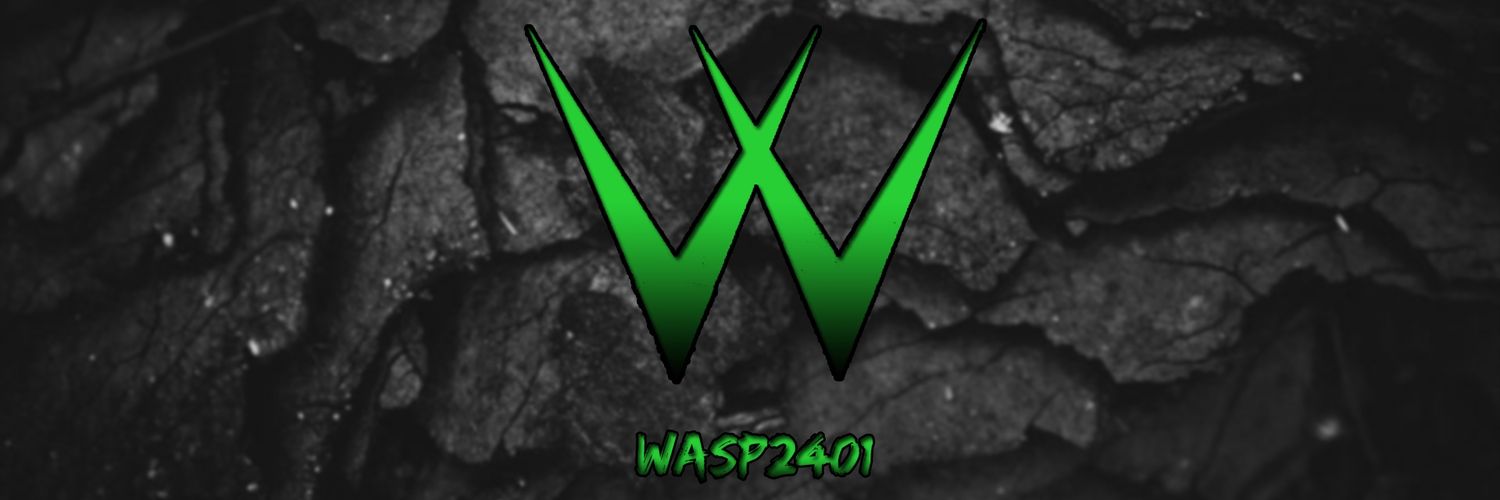 wasp2401's profile banner image