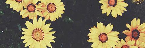 killacaitlyn's profile banner image