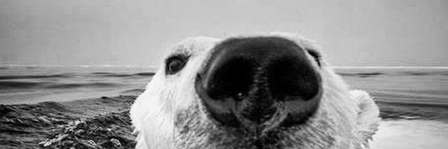 forkare's profile banner image