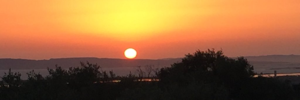 stefanocarboni_'s profile banner image