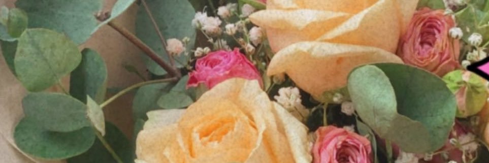 LalaSyhrh's profile banner image