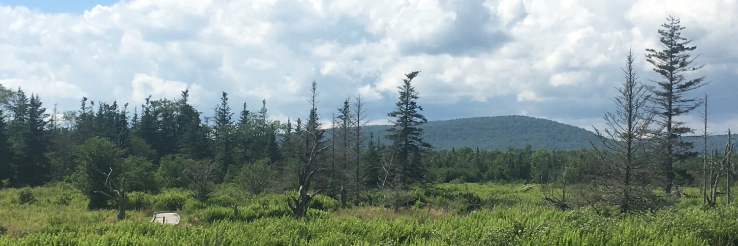 DavisWV's profile banner image