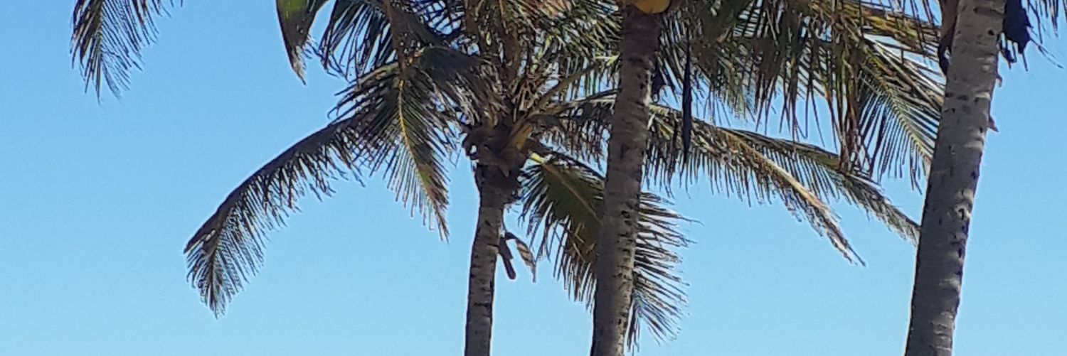 celiamarf's profile banner image