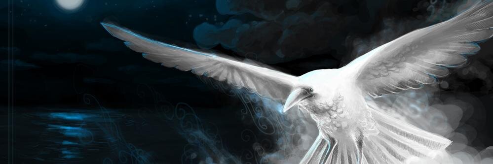 cmyk42's profile banner image