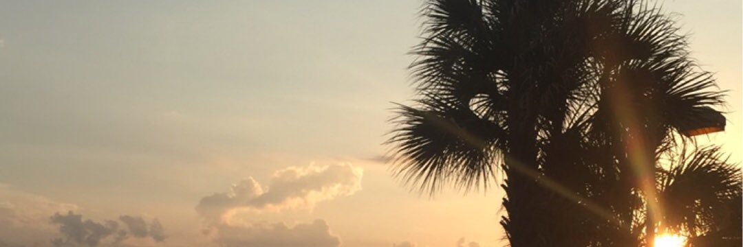 abi_stephens's profile banner image