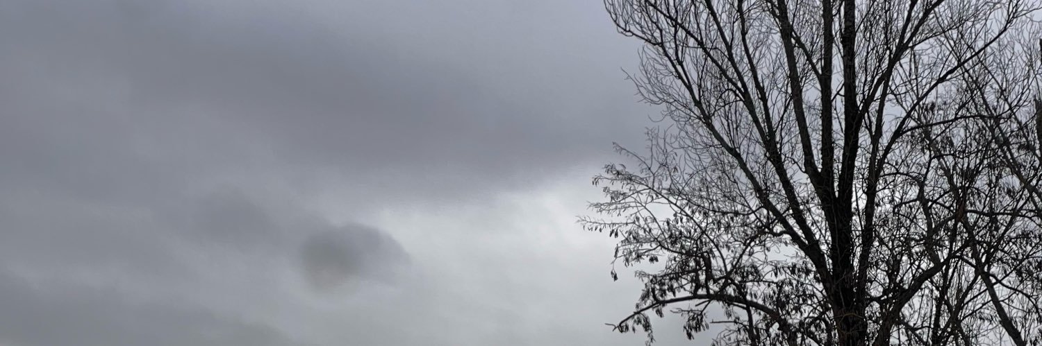 nirbyy's profile banner image