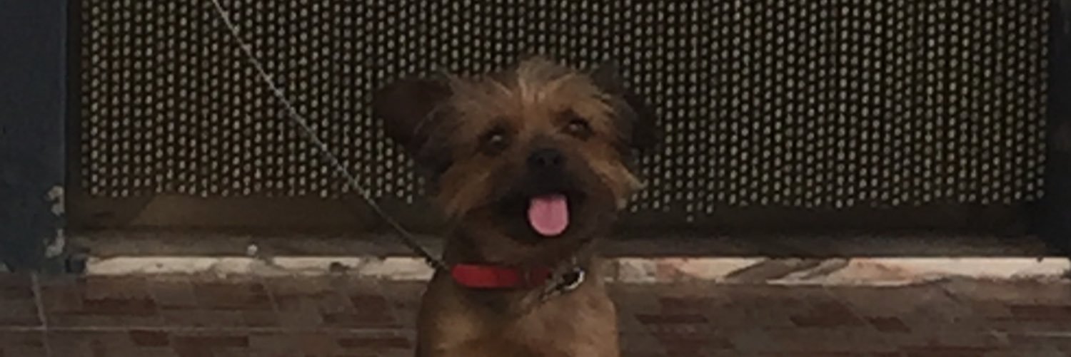 mayconde33's profile banner image