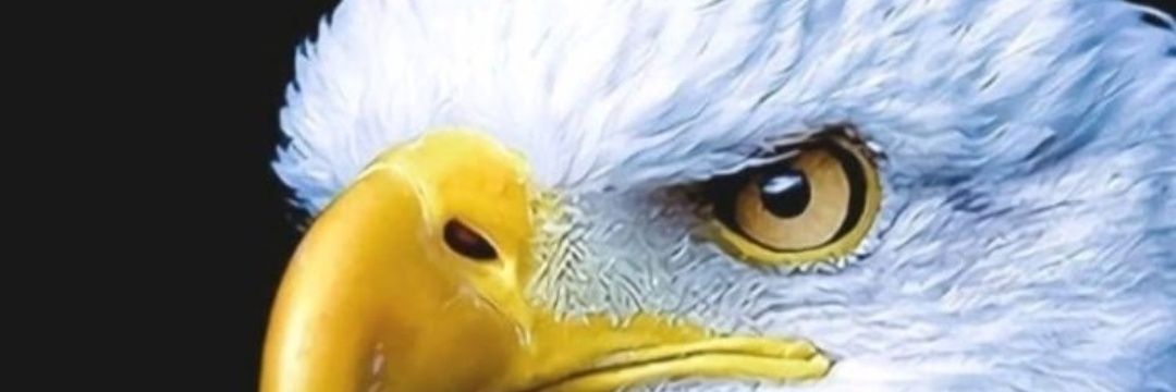 ATANRIVERD's profile banner image
