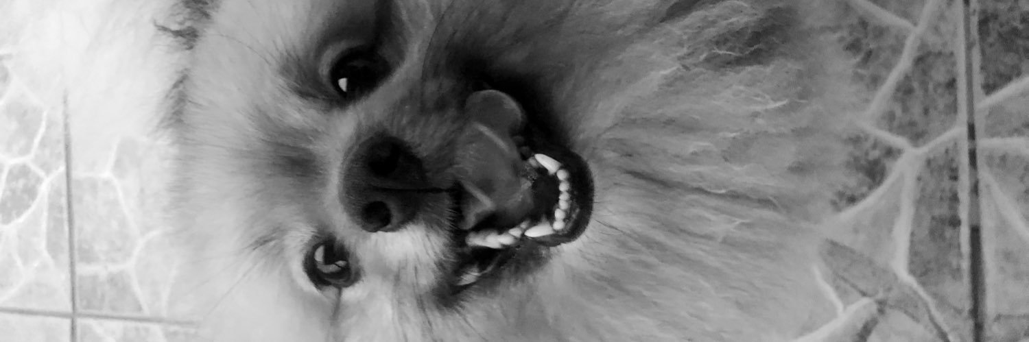 RTammyrm's profile banner image