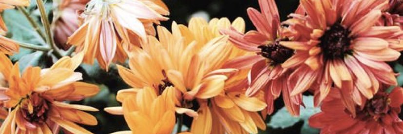 RatchFriedrichs's profile banner image