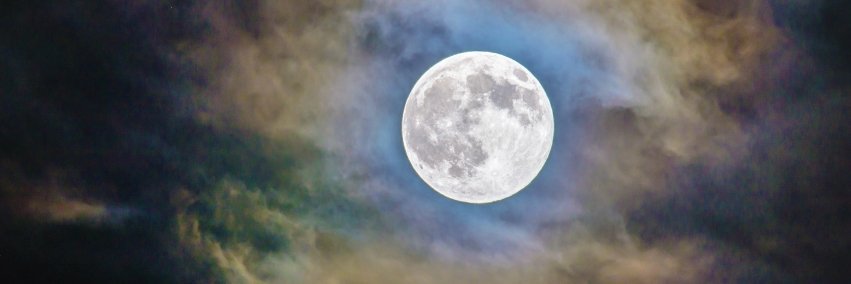Petra_71's profile banner image