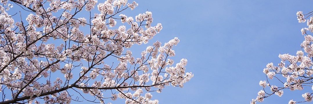 shiooont's profile banner image