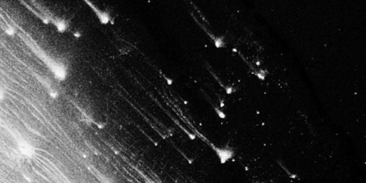 MariaGDono's profile banner image