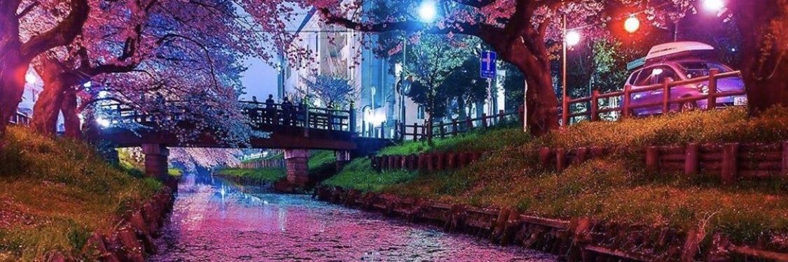 theSOYA_'s profile banner image