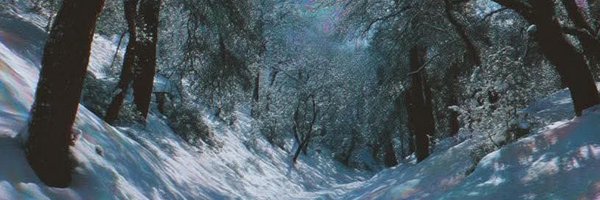 trunkyhl Profile Banner