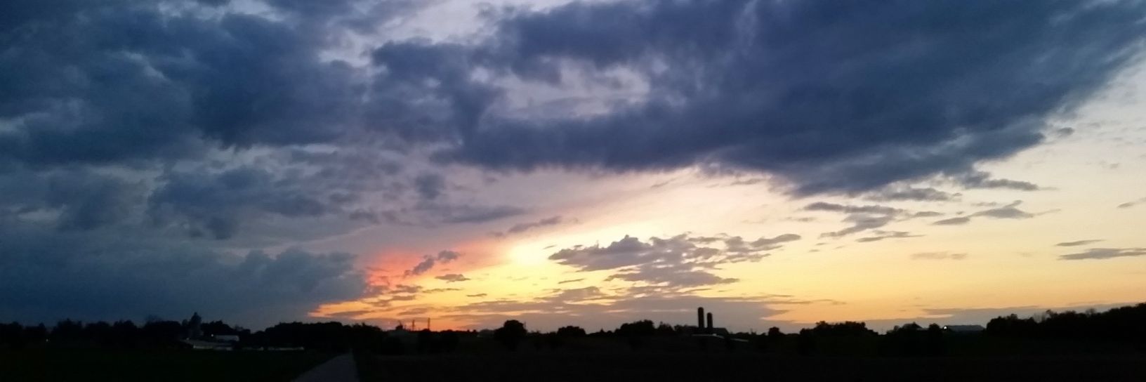 WhitneyNeilson's profile banner image