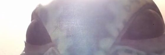 CGL_Cap's profile banner image