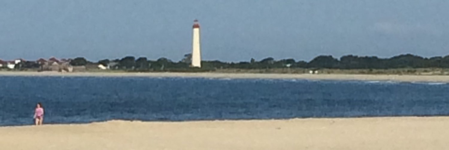 Valerie Cushman Bowers banner