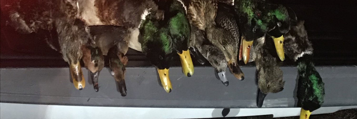hunter_groomes's profile banner image