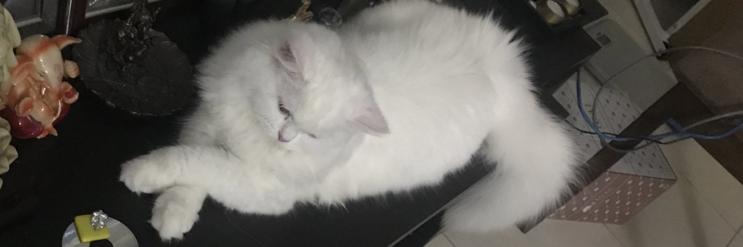 abiands's profile banner image