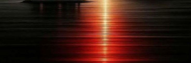 kiwindaj's profile banner image