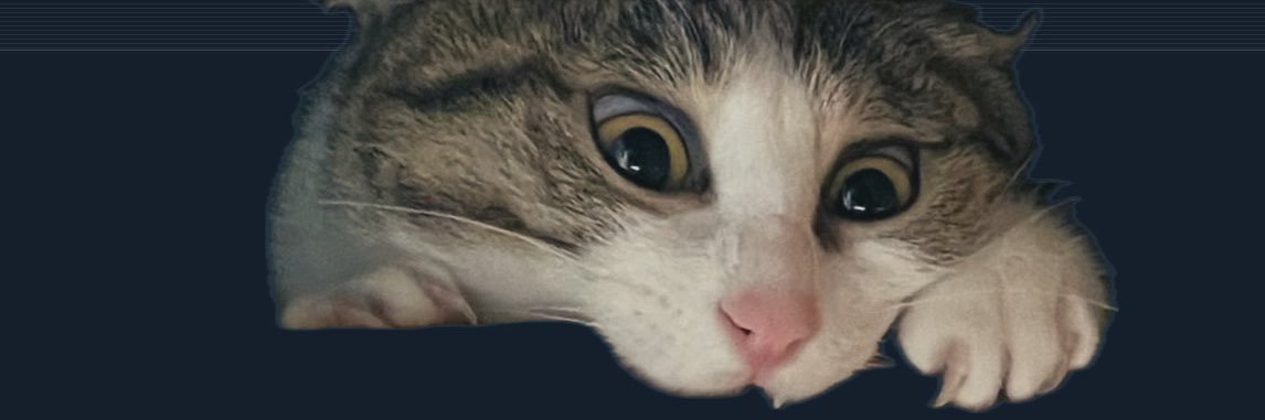 co4_r50's profile banner image