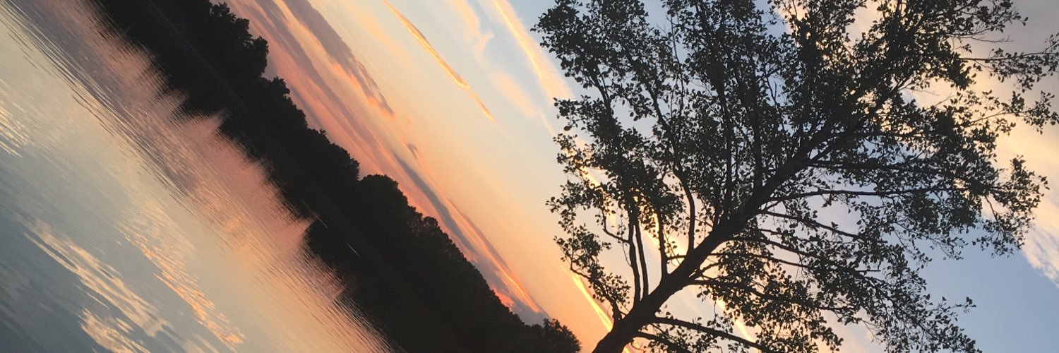lapetitechloclo's profile banner image