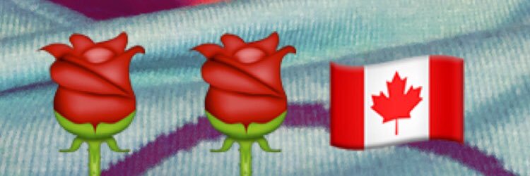 december2021's profile banner image