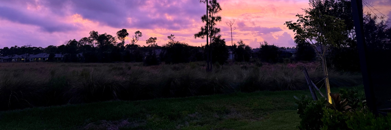 bpattridge's profile banner image