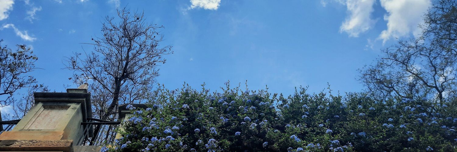 estrellavzm's profile banner image