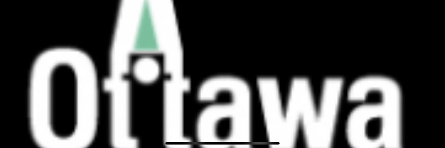 The Professional banner