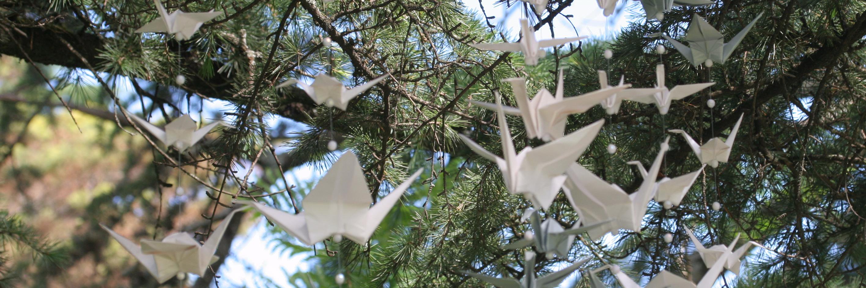 augusto wloch banner