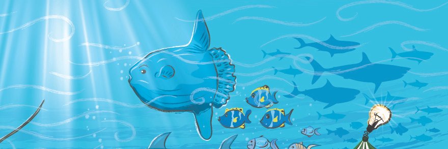 silvianeto's profile banner image