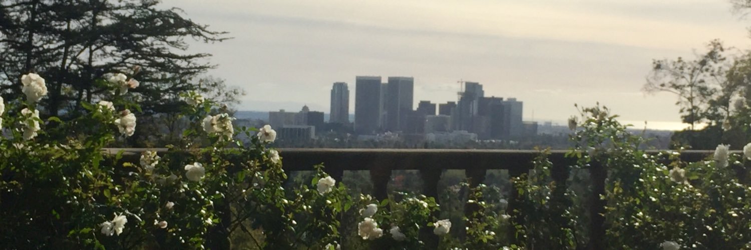 phoebes_uke's profile banner image