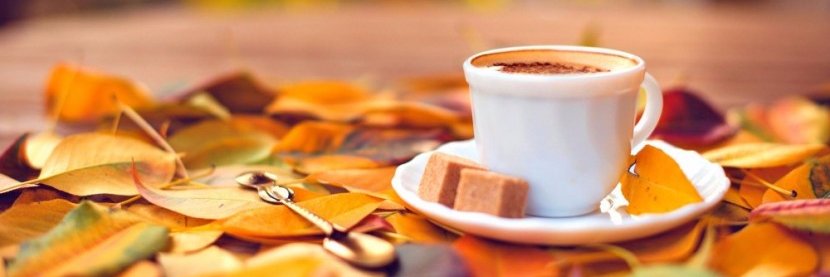 BookmarksCoffee's profile banner image