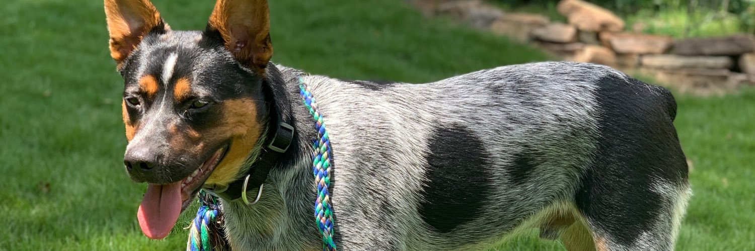 mcabeemackenzy's profile banner image