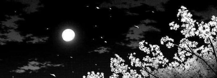 cuddlesluuna02's profile banner image