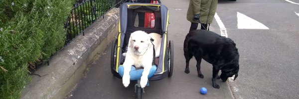 FringeMonkey Profile Banner