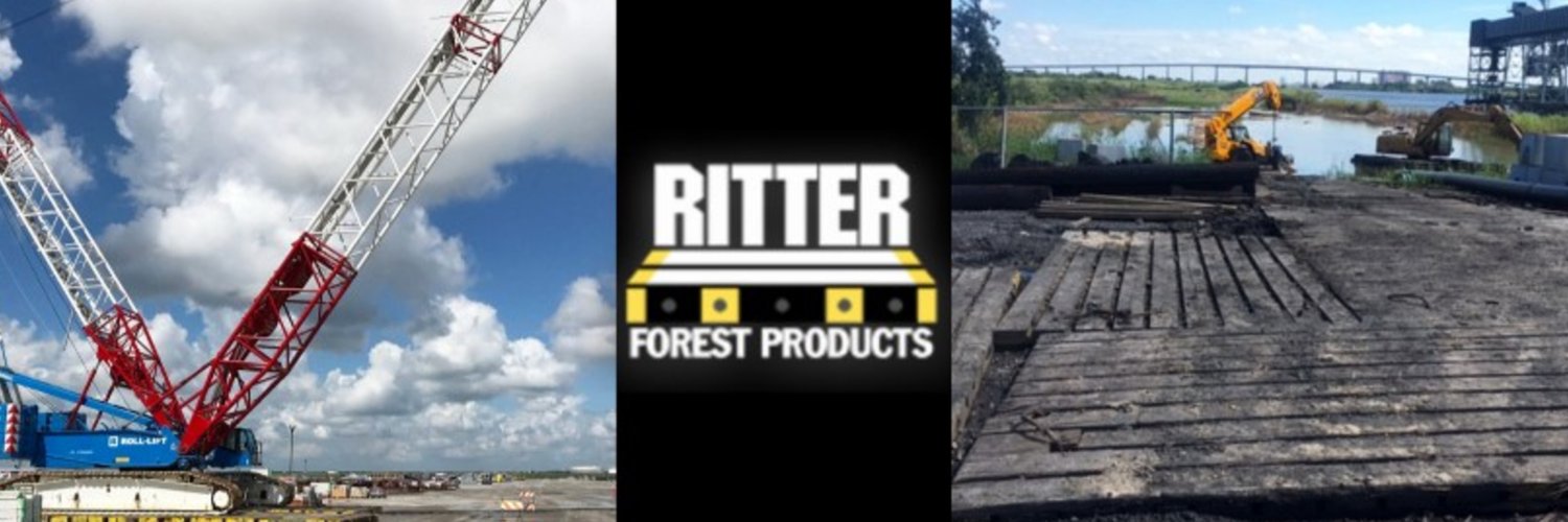 RitterForest's profile banner image