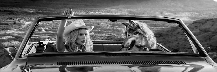 lauraalonso_19's profile banner image